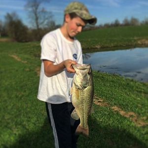 Meet your Posher, Joe